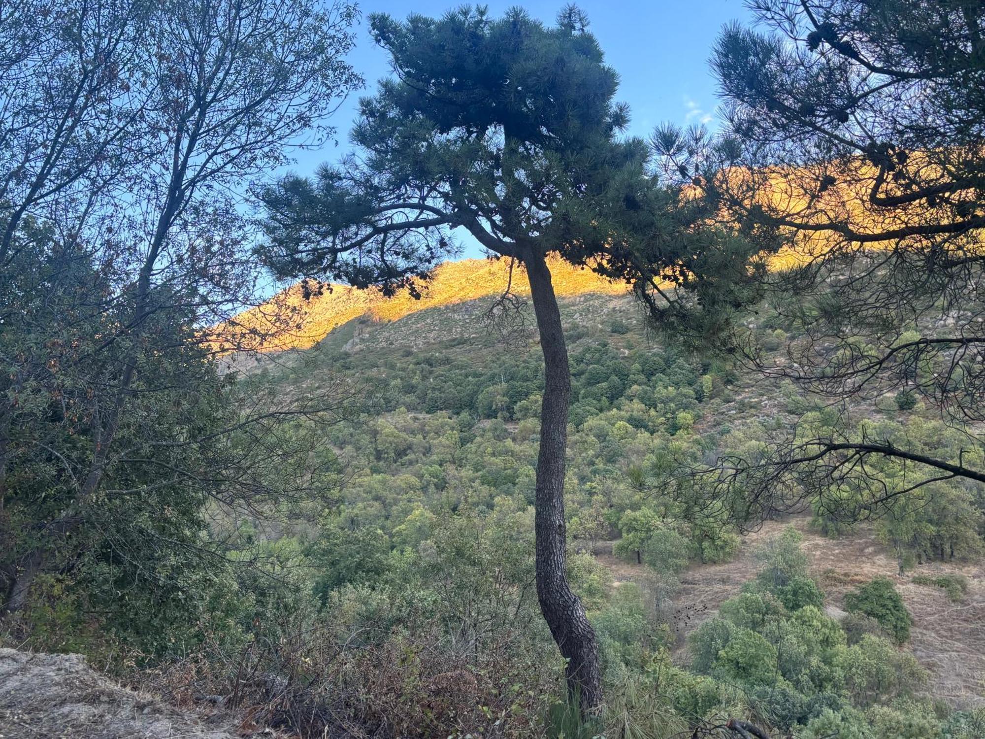 Luna De Gredos Pedro Bernardo 외부 사진