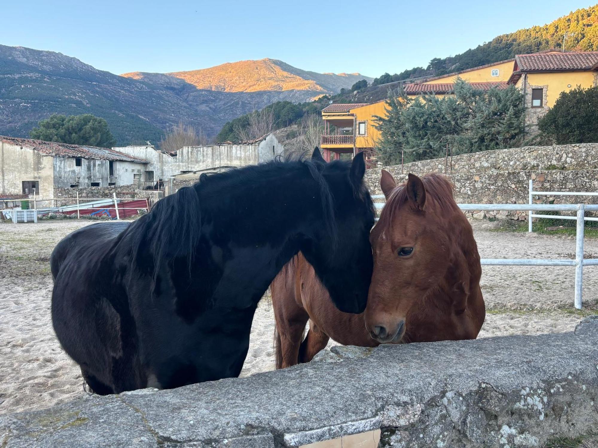 Luna De Gredos Pedro Bernardo 외부 사진